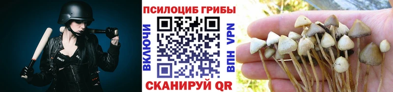 Купить закладки  Сортавала  Галлюциногенные грибы мицелий 